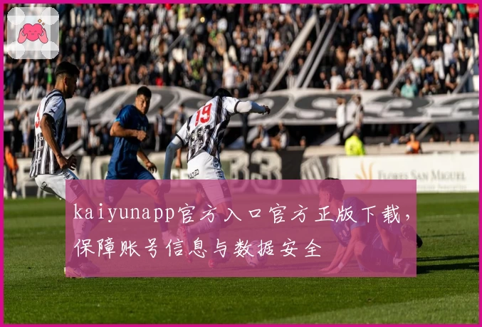 kaiyunapp官方入口官方正版下载，保障账号信息与数据安全